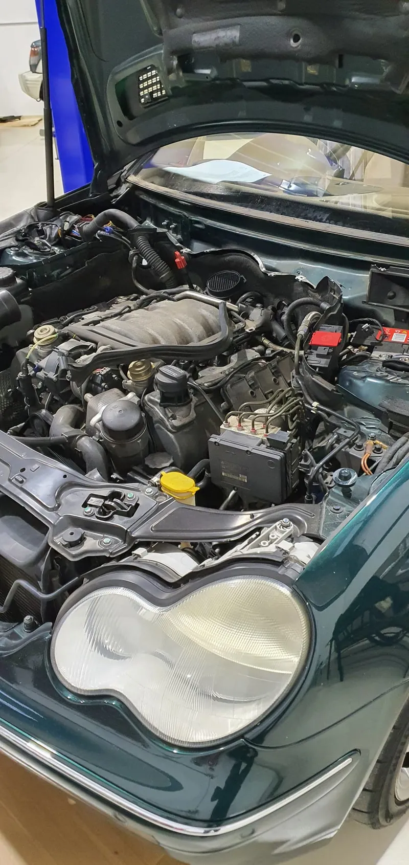 Workshop 8